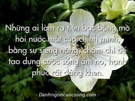 Những ai làm ra tiền bạc bằng mồ hôi nước mắt của chính mình, bằng sự siêng năng, chăm chỉ để tạo dựng cuộc sống ấm no, hạnh phúc rất đáng khen.