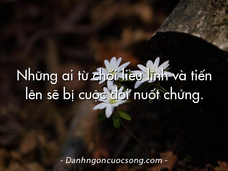Những ai từ chối liều lĩnh và tiến lên sẽ bị cuộc đời nuốt chửng.