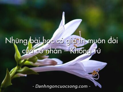 Những bài học có giá trị muôn đời của cổ nhân – Khổng Tử