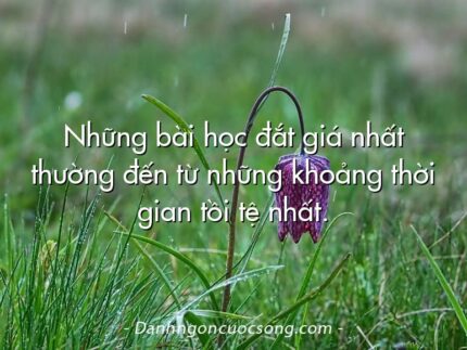 Những bài học đắt giá nhất thường đến từ những khoảng thời gian tồi tệ nhất.