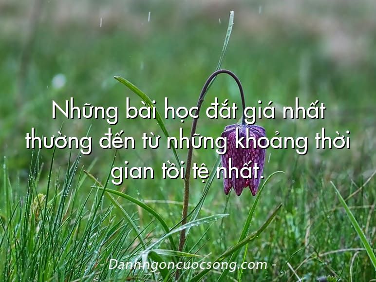 Những bài học đắt giá nhất thường đến từ những khoảng thời gian tồi tệ nhất.