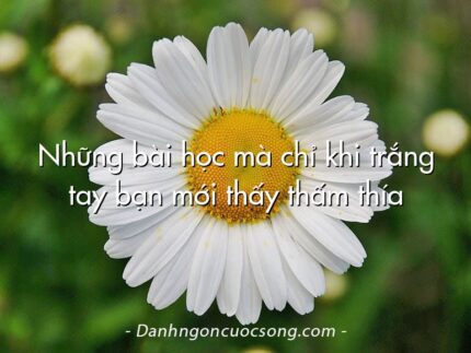 Những bài học mà chỉ khi trắng tay bạn mới thấy thấm thía