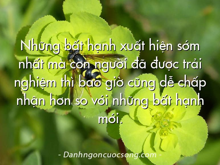 Những bất hạnh xuất hiện sớm nhất mà còn người đã được trải nghiệm thì bao giờ cũng dễ chấp nhận hơn so với những bất hạnh mới.