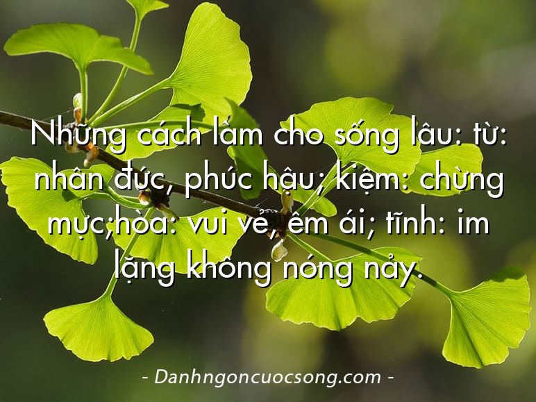 Những cách làm cho sống lâu: từ: nhân đức, phúc hậu; kiệm: chừng mực;hòa: vui vẻ, êm ái; tĩnh: im lặng không nóng nảy.