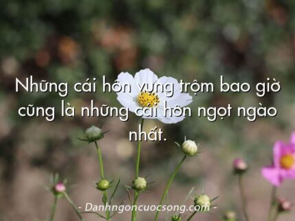 Những cái hôn vụng trộm bao giờ cũng là những cái hôn ngọt ngào nhất.