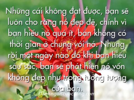 Những cái không đạt được, bạn sẽ luôn cho rằng nó đẹp đẽ, chính vì bạn hiểu nó quá ít, bạn không có thời gian ở chung với nó. Nhưng rồi một ngày nào đó khi bạn hiểu sâu sắc, bạn sẽ phát hiện nó vốn không đẹp như trong tưởng tượng của bạn.