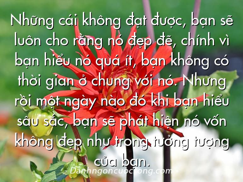 Những cái không đạt được, bạn sẽ luôn cho rằng nó đẹp đẽ, chính vì bạn hiểu nó quá ít, bạn không có thời gian ở chung với nó. Nhưng rồi một ngày nào đó khi bạn hiểu sâu sắc, bạn sẽ phát hiện nó vốn không đẹp như trong tưởng tượng của bạn.