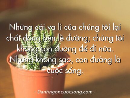 Những cái va li của chúng tôi lại chất đống bên lề đường; chúng tôi không còn đường để đi nữa. Nhưng không sao, con đường là cuộc sống.