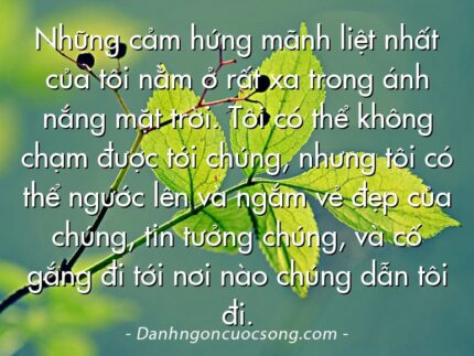 Những cảm hứng mãnh liệt nhất của tôi nằm ở rất xa trong ánh nắng mặt trời. Tôi có thể không chạm được tới chúng, nhưng tôi có thể ngước lên và ngắm vẻ đẹp của chúng, tin tưởng chúng, và cố gắng đi tới nơi nào chúng dẫn tôi đi.