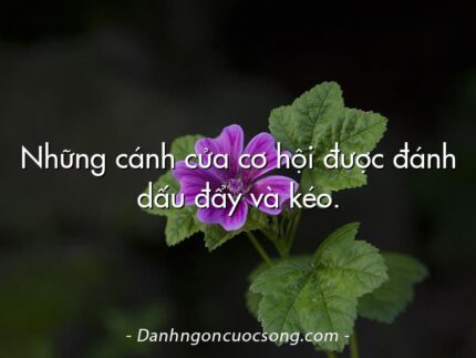 Những cánh cửa cơ hội được đánh dấu đẩy và kéo.