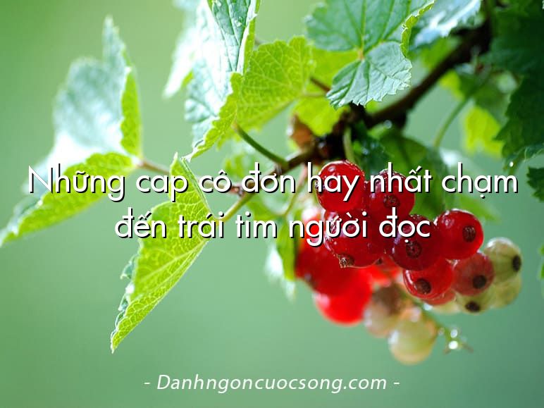 Những cap cô đơn hay nhất chạm đến trái tim người đọc