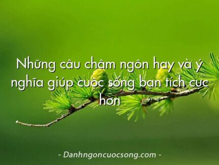 Những câu châm ngôn hay và ý nghĩa giúp cuộc sống bạn tích cực hơn