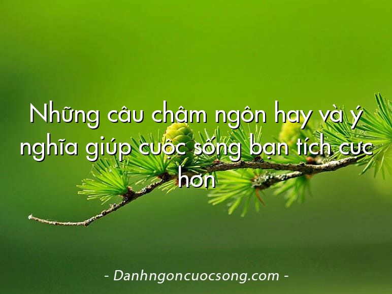 Những câu châm ngôn hay và ý nghĩa giúp cuộc sống bạn tích cực hơn