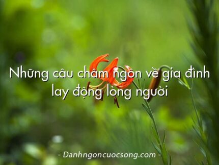 Những câu châm ngôn về gia đình lay động lòng người