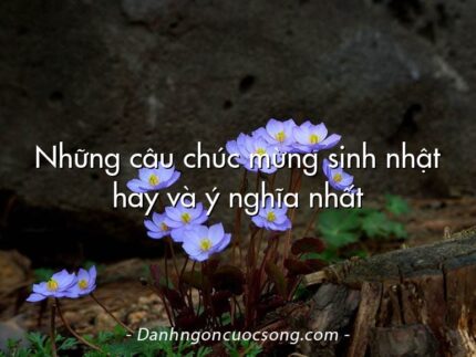 Những câu chúc mừng sinh nhật hay và ý nghĩa nhất