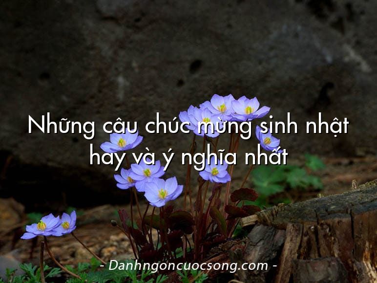 Những câu chúc mừng sinh nhật hay và ý nghĩa nhất