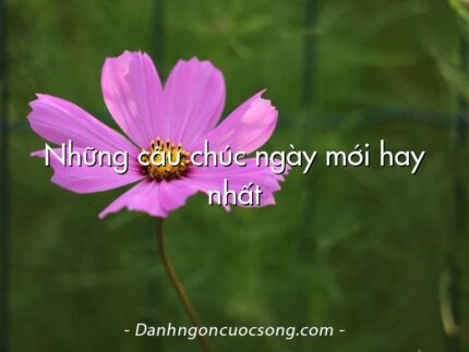 Những câu chúc ngày mới hay nhất