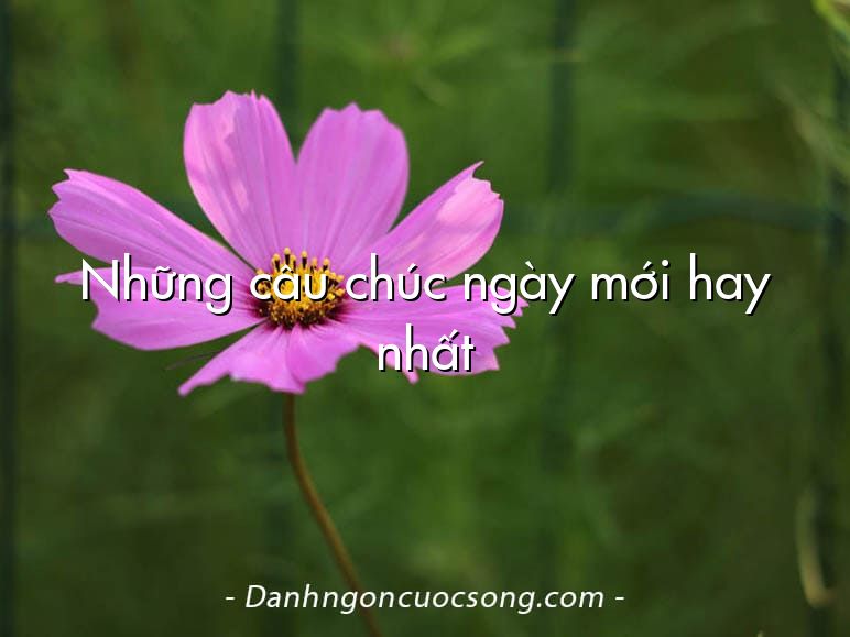 Những câu chúc ngày mới hay nhất