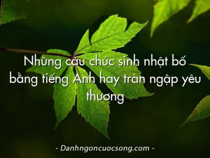 Những câu chúc sinh nhật bố bằng tiếng Anh hay tràn ngập yêu thương