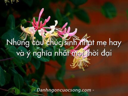 Những câu chúc sinh nhật mẹ hay và ý nghĩa nhất mọi thời đại