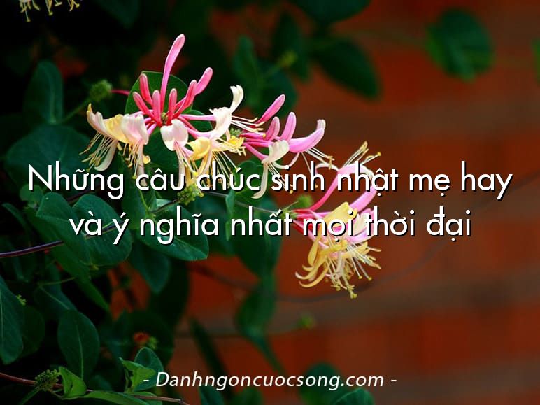 Những câu chúc sinh nhật mẹ hay và ý nghĩa nhất mọi thời đại