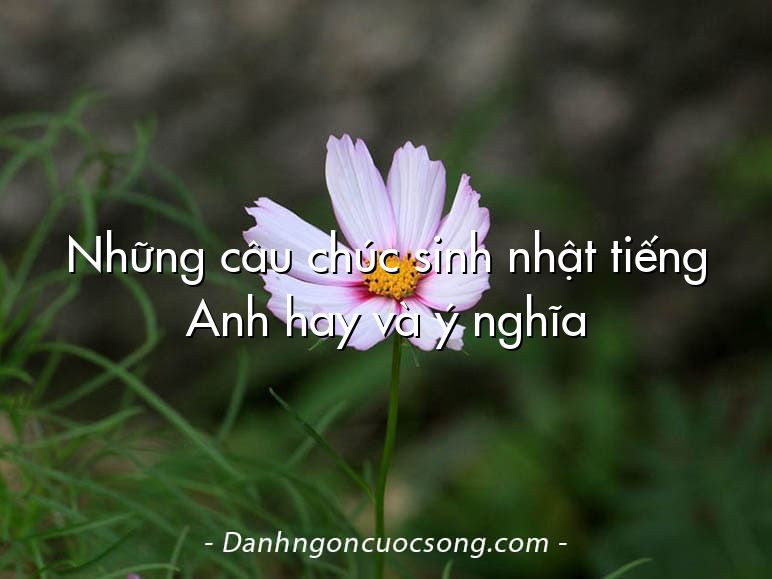 Những câu chúc sinh nhật tiếng Anh hay và ý nghĩa