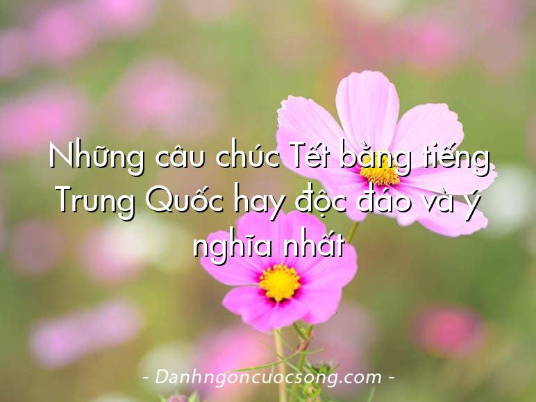 Những câu chúc Tết bằng tiếng Trung Quốc hay độc đáo và ý nghĩa nhất