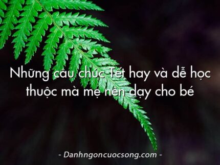 Những câu chúc Tết hay và dễ học thuộc mà mẹ nên dạy cho bé