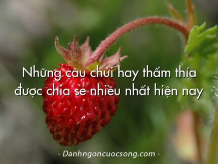Những câu chửi hay thấm thía được chia sẻ nhiều nhất hiện nay