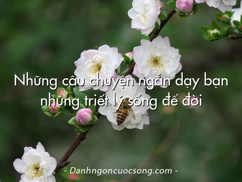 Những câu chuyện ngắn dạy bạn những triết lý sống để đời