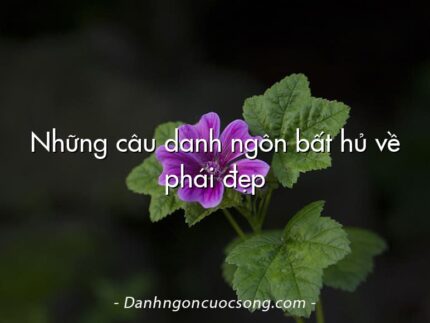 Những câu danh ngôn bất hủ về phái đẹp