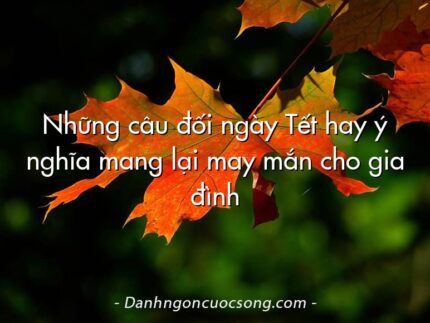 Những câu đối ngày Tết hay ý nghĩa mang lại may mắn cho gia đình