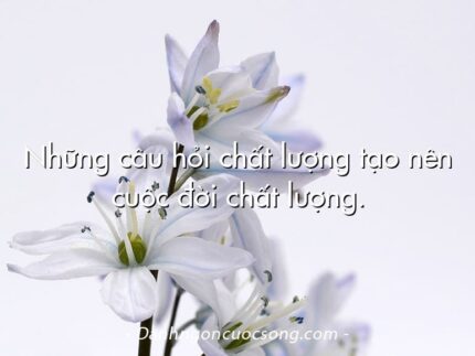 Những câu hỏi chất lượng tạo nên cuộc đời chất lượng.
