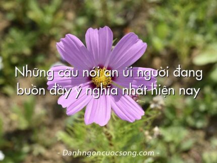 Những câu nói an ủi người đang buồn đầy ý nghĩa nhất hiện nay