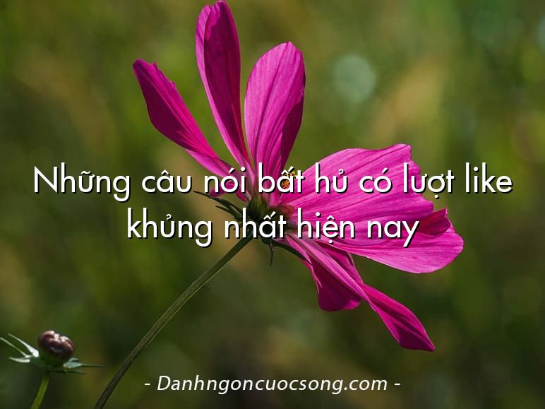 Những câu nói bất hủ có lượt like khủng nhất hiện nay