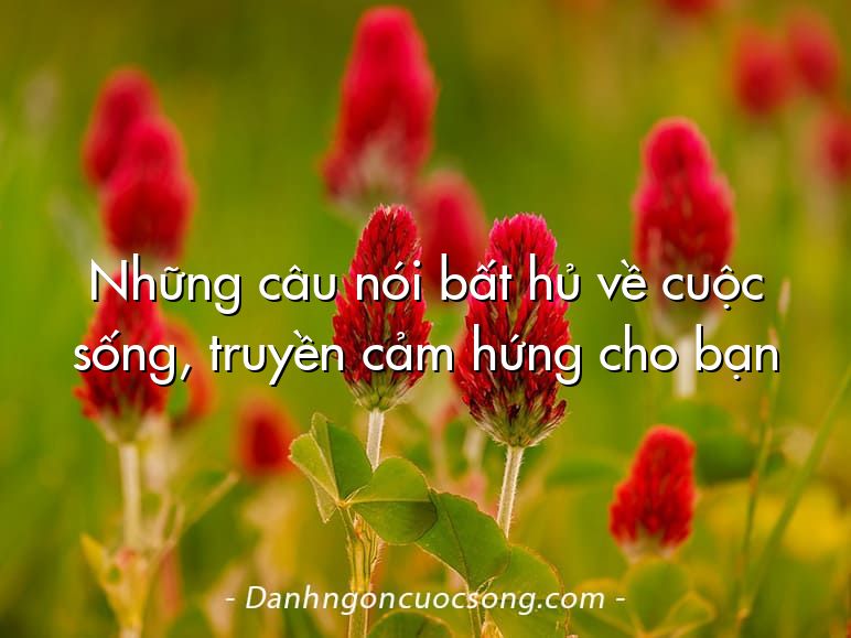 Những câu nói bất hủ về cuộc sống, truyền cảm hứng cho bạn