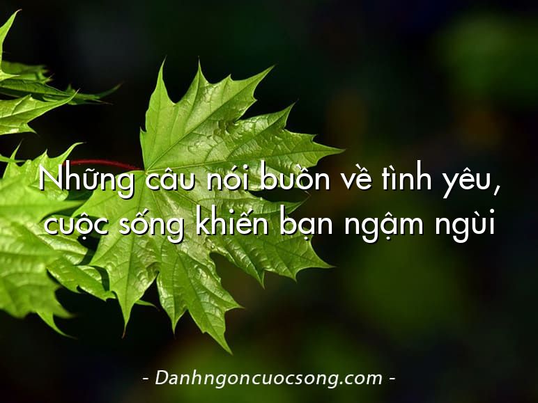 Những câu nói buồn về tình yêu, cuộc sống khiến bạn ngậm ngùi