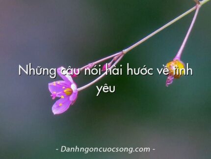 Những câu nói hài hước về tình yêu