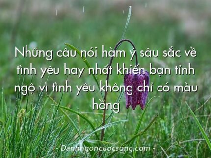 Những câu nói hàm ý sâu sắc về tình yêu hay nhất khiến bạn tỉnh ngộ vì tình yêu không chỉ có màu hồng
