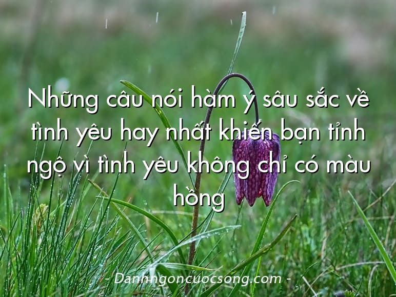 Những câu nói hàm ý sâu sắc về tình yêu hay nhất khiến bạn tỉnh ngộ vì tình yêu không chỉ có màu hồng