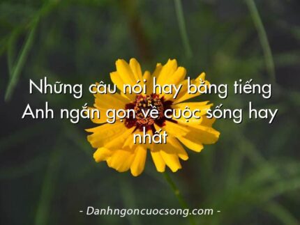 Những câu nói hay bằng tiếng Anh ngắn gọn về cuộc sống hay nhất