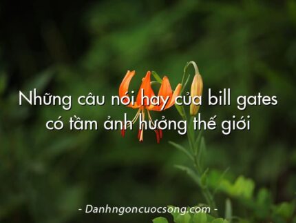 Những câu nói hay của bill gates có tầm ảnh hưởng thế giới