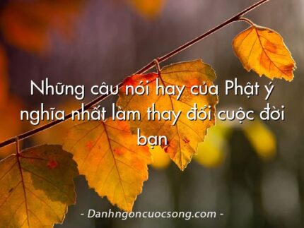 Những câu nói hay của Phật ý nghĩa nhất làm thay đổi cuộc đời bạn