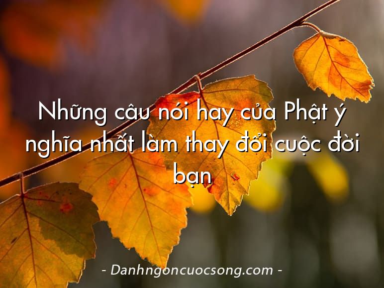Những câu nói hay của Phật ý nghĩa nhất làm thay đổi cuộc đời bạn
