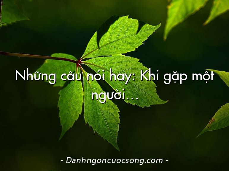 Những câu nói hay: Khi gặp một người…