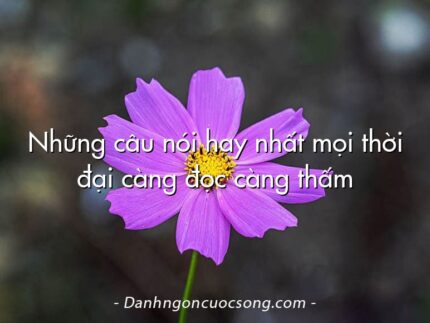 Những câu nói hay nhất mọi thời đại càng đọc càng thấm