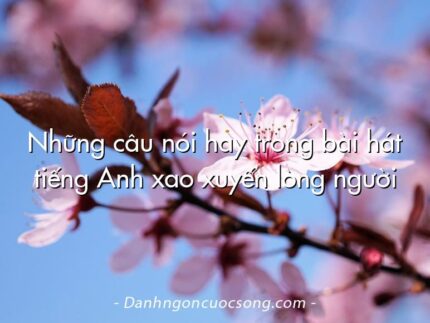 Những câu nói hay trong bài hát tiếng Anh xao xuyến lòng người