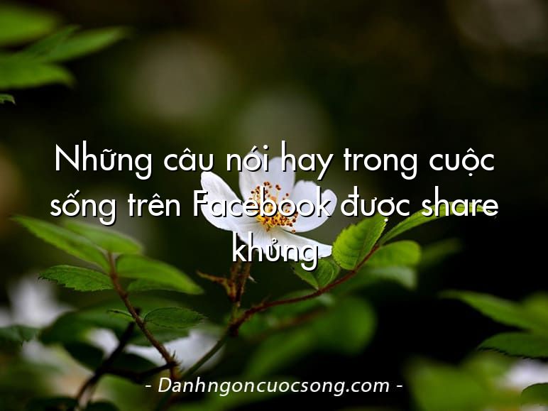 Những câu nói hay trong cuộc sống trên Facebook được share khủng