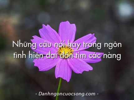 Những câu nói hay trong ngôn tình hiện đại đốn tim các nàng