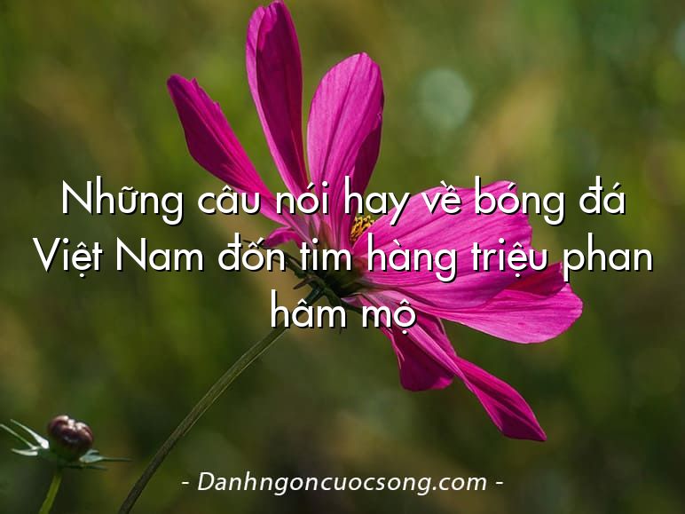 Những câu nói hay về bóng đá Việt Nam đốn tim hàng triệu phan hâm mộ
